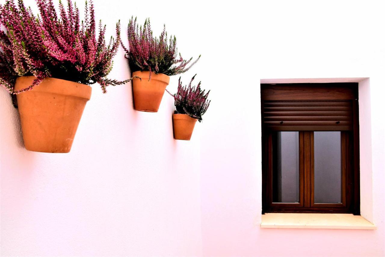 Apartamentos Turisticos Mamelon جيريز المظهر الخارجي الصورة